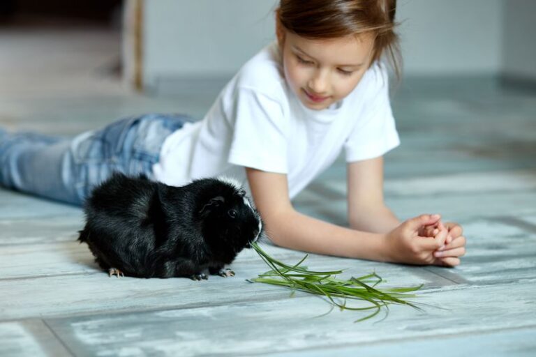 Wychowywanie dziecka ze zwierzętami. O czym pamiętać?
